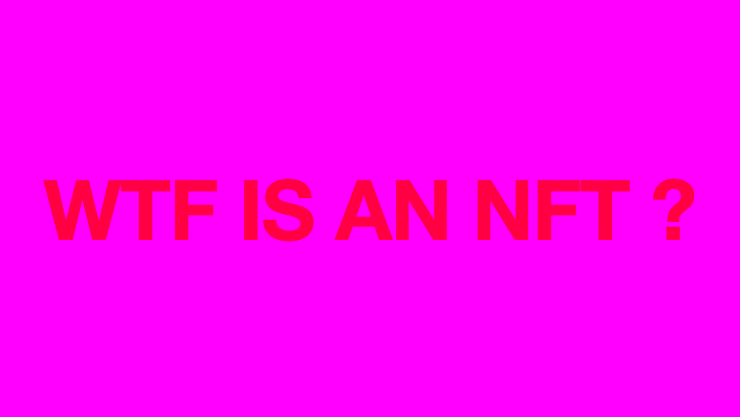wtf gif.gif