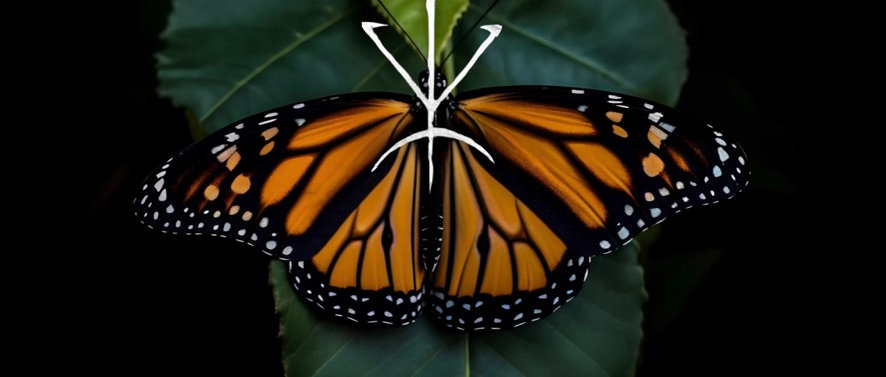 Awakening Mythic Imagination Eco-Depth Yearlong: Deposit Only