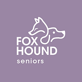 Fox-Hound-Consulting-Consultoria-Costa-Rica-Asistencia-Contable-Adulto-Mayor-Seniors-Accounting