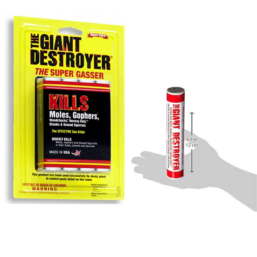 giant destroyer.jpg