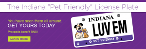 licenseplate1-300x101.png