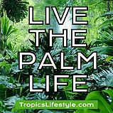 live the palm life square (1).png