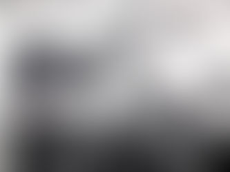 Ripper and the Jesses Custom Vinyl!