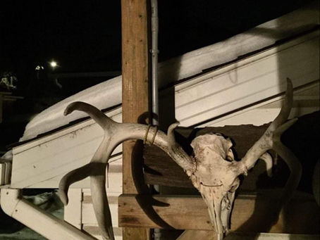 Blood Of Keith Richards Album Release Date