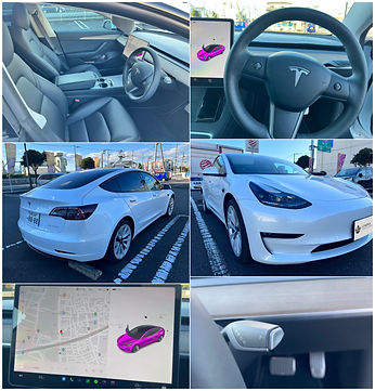 TESLA Model3
