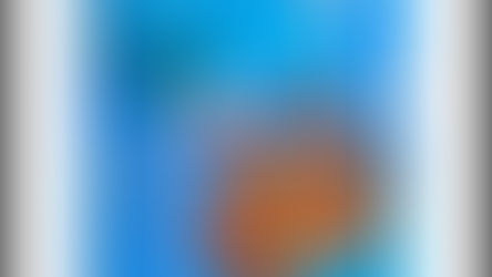 The Palms - Wonderland