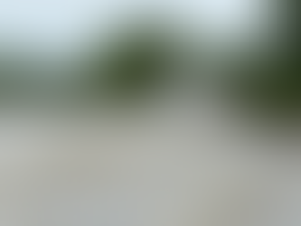 A fight for the future