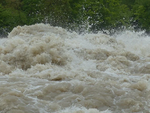 Science, not politics, protects threatened resources