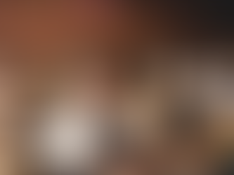 Centuries of Separate but Unequal Education