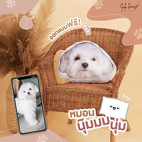 หมอนพิมพ์ลายตามใจชอบ