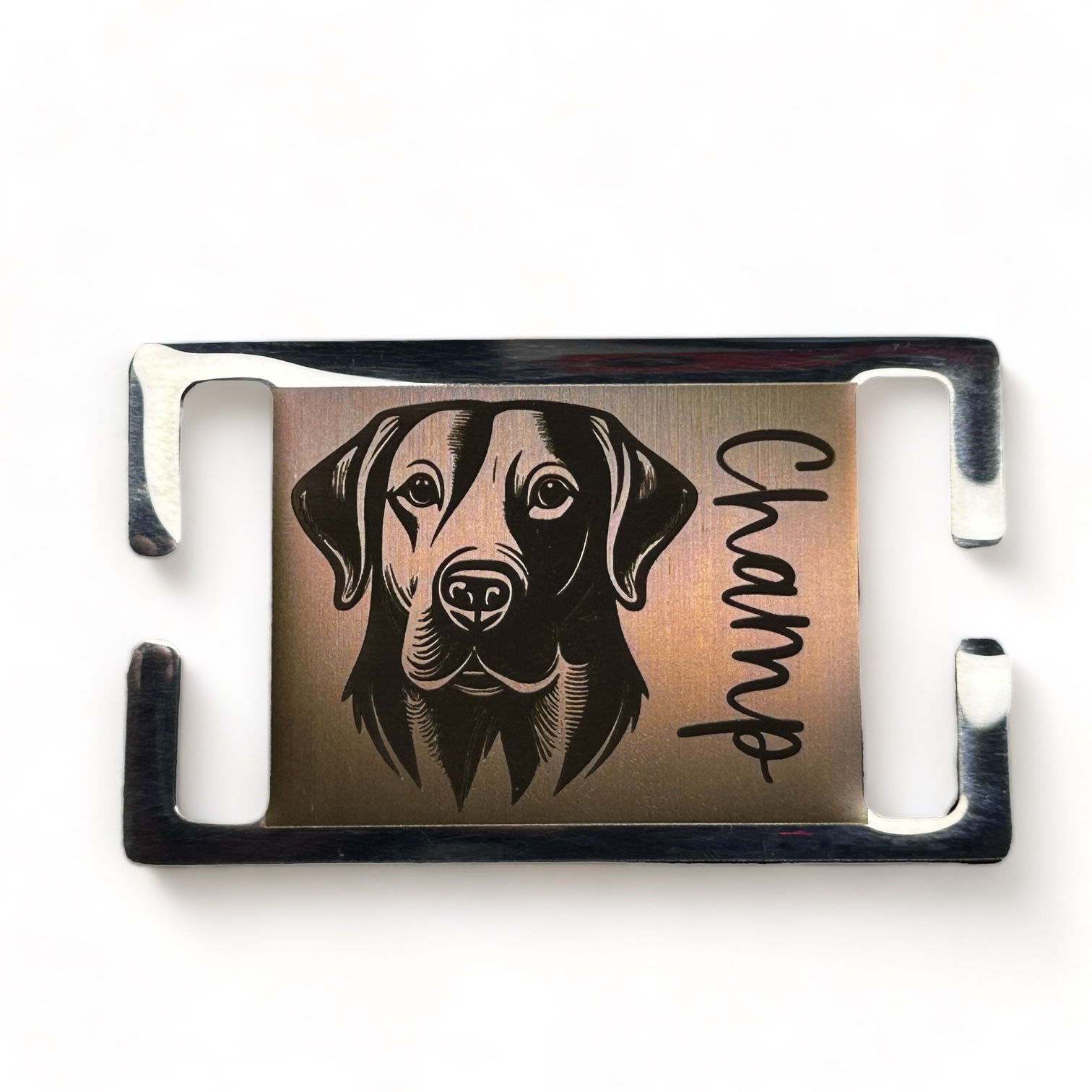 The Mutt Collection - Champ