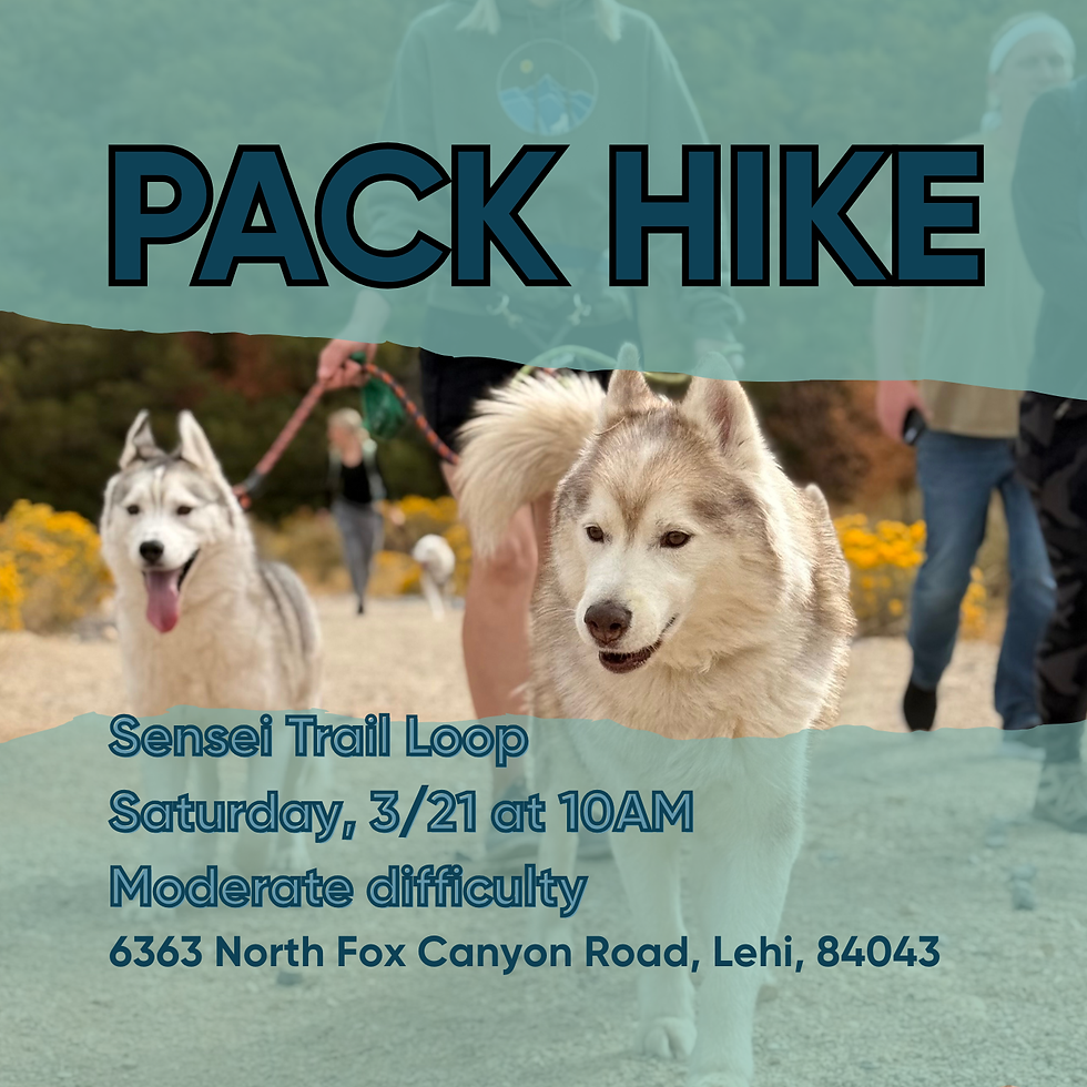 🥾 Pack Hike