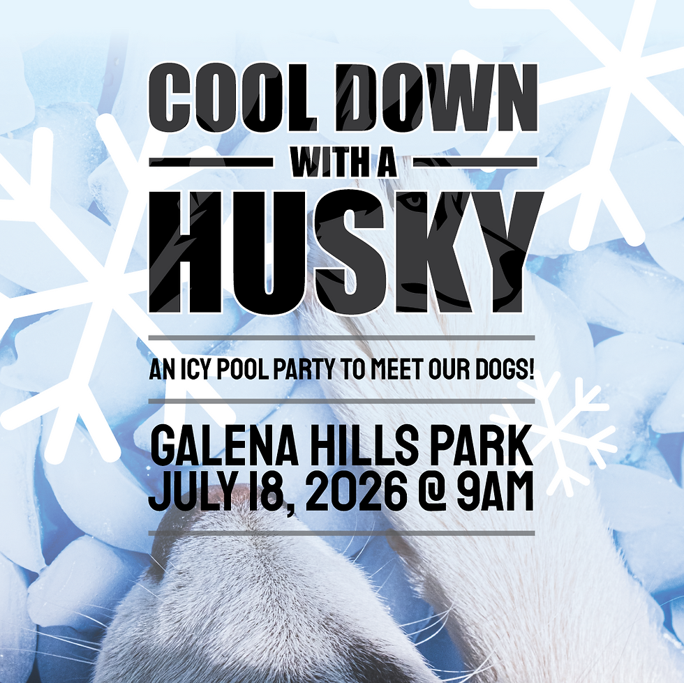 Cool Down With a Husky!