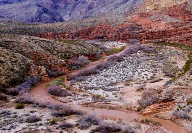 Young Volcanoes to Basement Rocks: The Beaver Dam Mountains and Virgin River Gorge