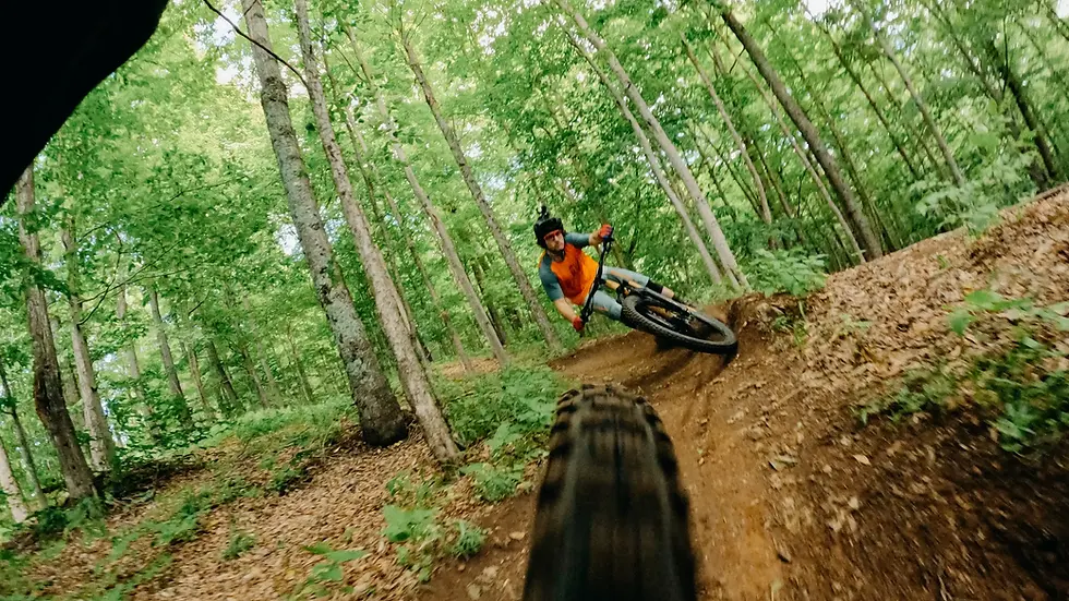 Thumbnail: GoPro Handlebar Seatpost Pole mount