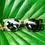 Thumbnail: Electric Birch Sunglasses