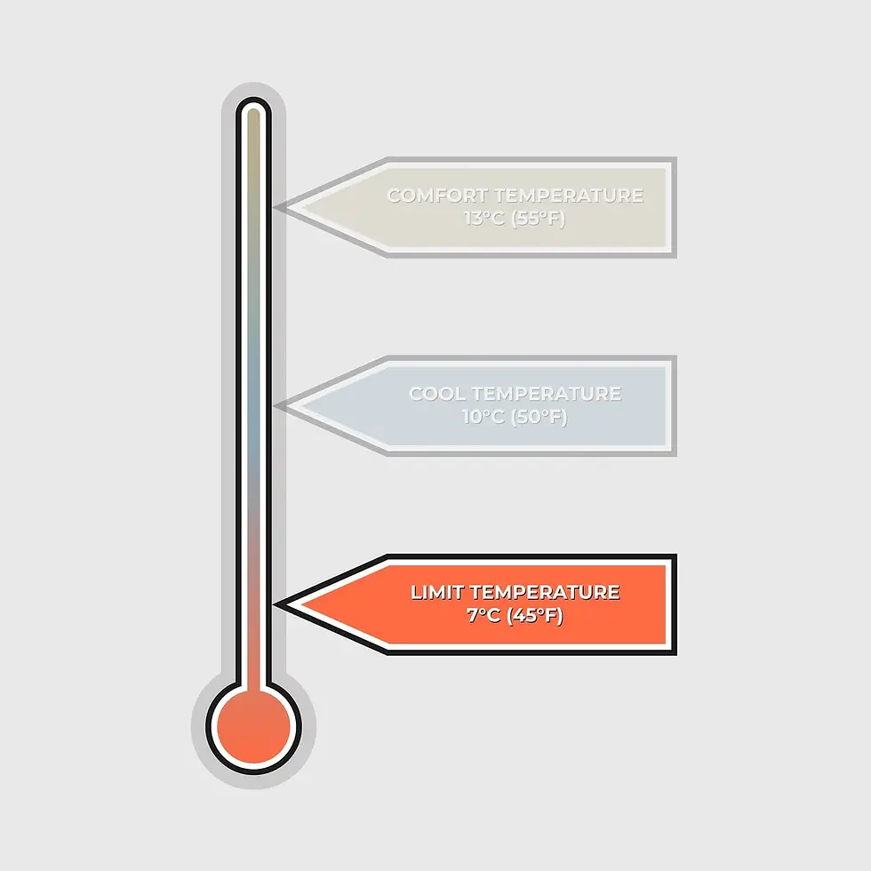 Thumbnail: Voited Cloudtouch Blanket