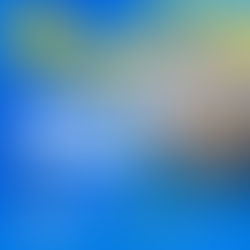 Somos a Distribuidora Oficial dos Postos Ipiranga