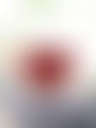 BỘ 4 SẢN PHẨM TRỊ NÁM TÀN NHANG MỸ PHẨM ZOLEY & KBONE GIÚP ĐÁNH BAY NÁM TÀN NHANG TỨC KHẮC