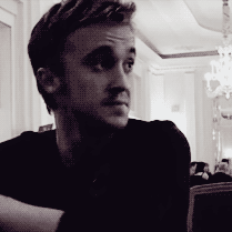 Tom Felton 2.gif