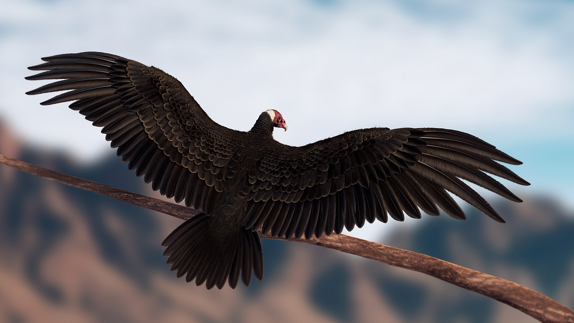 Yeti, Rabbit, Fur, Maya, Hair, Realistic, V-ray, 3D