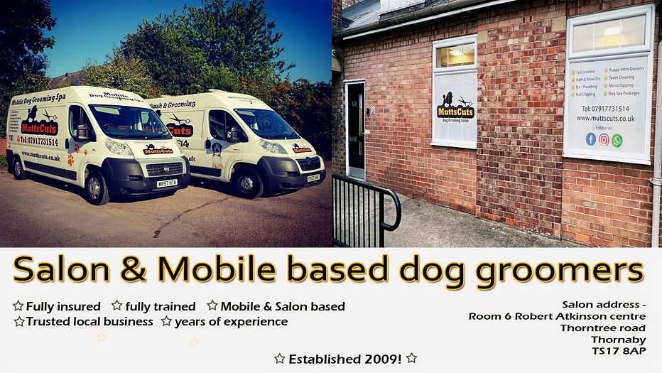 Home Mutts Cuts Dog Grooming Thornaby, Teesside, Stockton on Tees