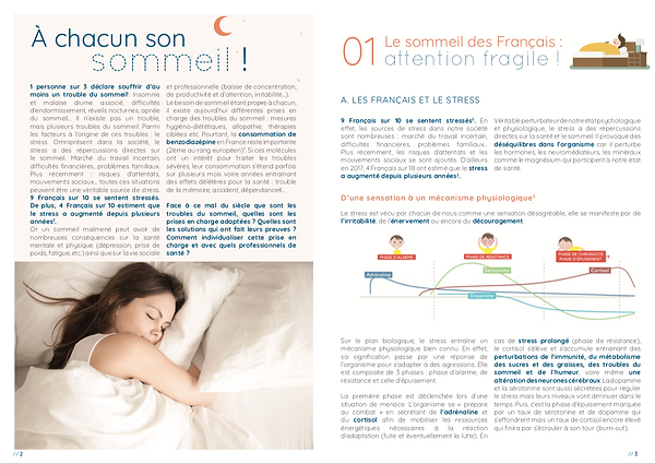 Capture d’écran 2021-10-04 à 16.29.22.png