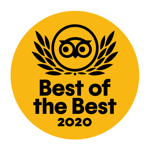 TC-BOTB-Winner.gif