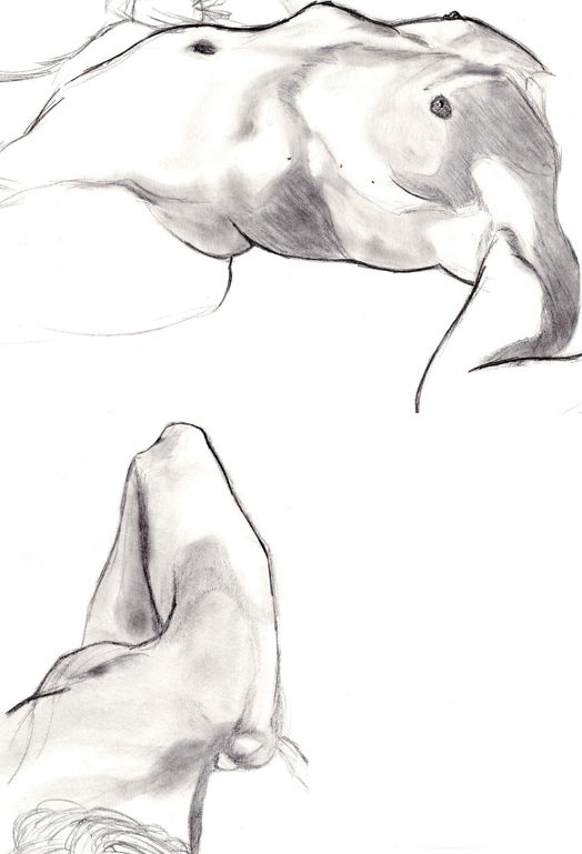 Dessins nue