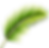 Palm_Leaf_PNG_Transparent_Image.png