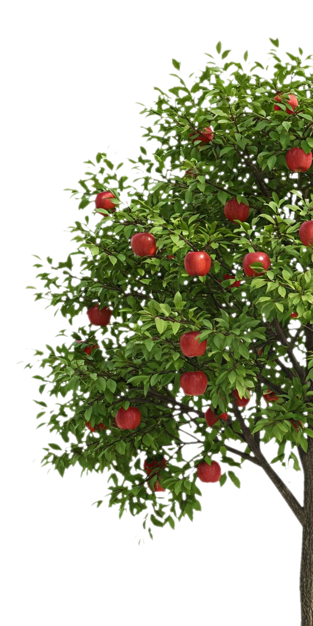 Gemini_Generated_Image_zfc6ouzfc6ouzfc6.png