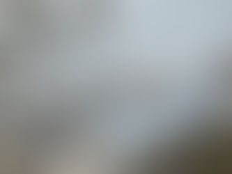 ホームライフの花見🌸