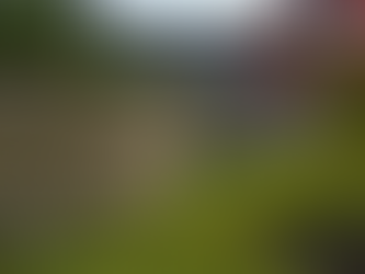 The Art of Retaining Walls: Practical and Aesthetic Solutions