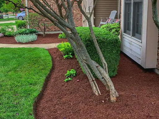 Mulch