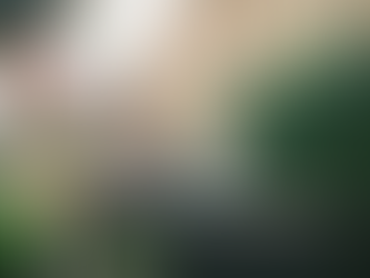 How to Choose the Right Compost for Your Lawn