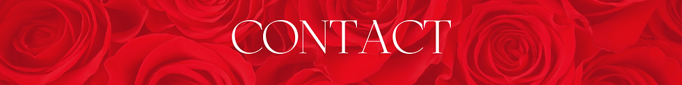 bkgrd (1200 x 450 px) (1200 x 150 px) (1).png