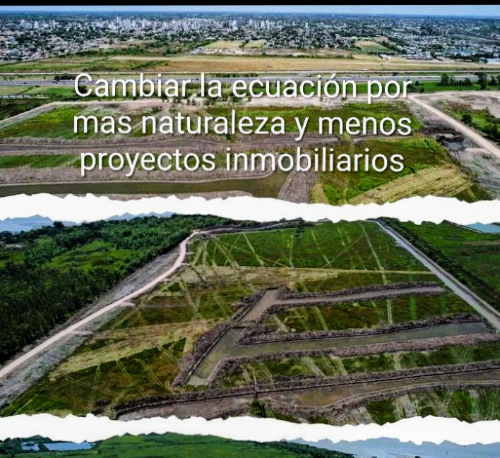 Proyectos inmobiliarios que destruyen el ecosistema 