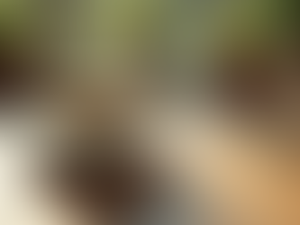 Ménopause et préménopause : Comprendre et mieux vivre cette étape de vie