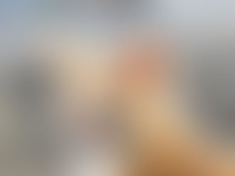 Ingen gullig liten katt