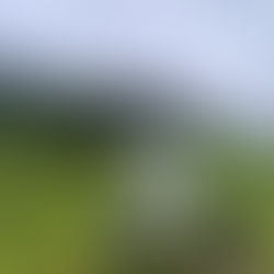 Riedingalm & Riedinger Wasserfälle – Naturjuwel am Hochkönig