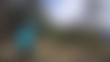 Riedberg (641m) & unbekannter Gipfel in Leonstein