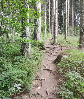 WhatsApp Image 2025-02-06 at 12.58.10 (3).jpeg