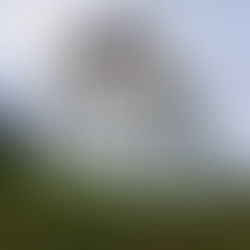 Heiligengeistklamm & Altenbachklamm (Südsteiermark)