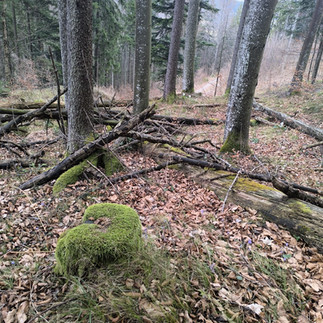 Ein schöner grüner Sitz!