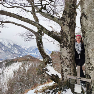 Kienberg (801m) bei Schön/Micheldorf