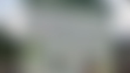 Kirschblütenwanderung Scharten