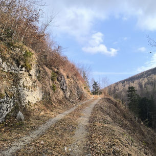 Nachhaltig wandern: So geht umweltbewusstes Abenteuer