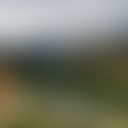 Brunnsteinersee & Teichlrunde auf der Wurzer Alm