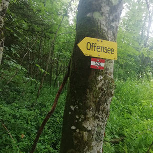 Ameisstein (776m) am Almsee 