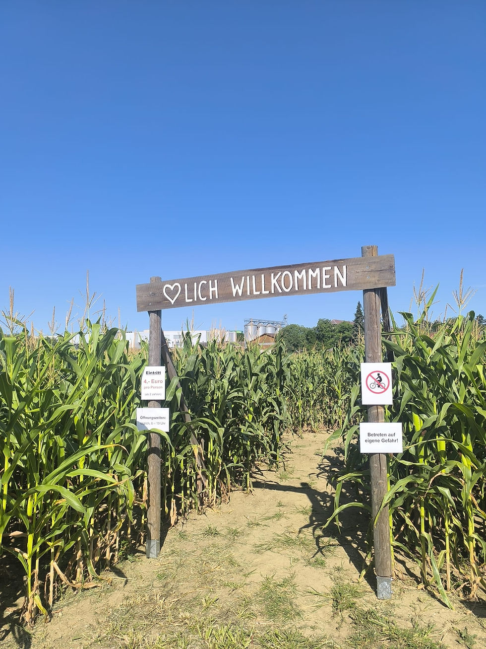 Welser Maislabyrinth